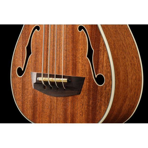 Kala U-Bass Journeyman NT