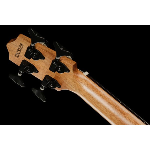 Kala U-Bass Journeyman NT