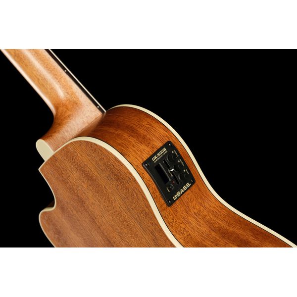 Kala U-Bass Journeyman NT