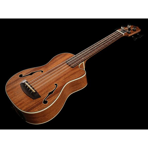 Kala U-Bass Journeyman NT