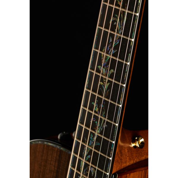 Taylor PS12ce 12 Fret Honduran RW