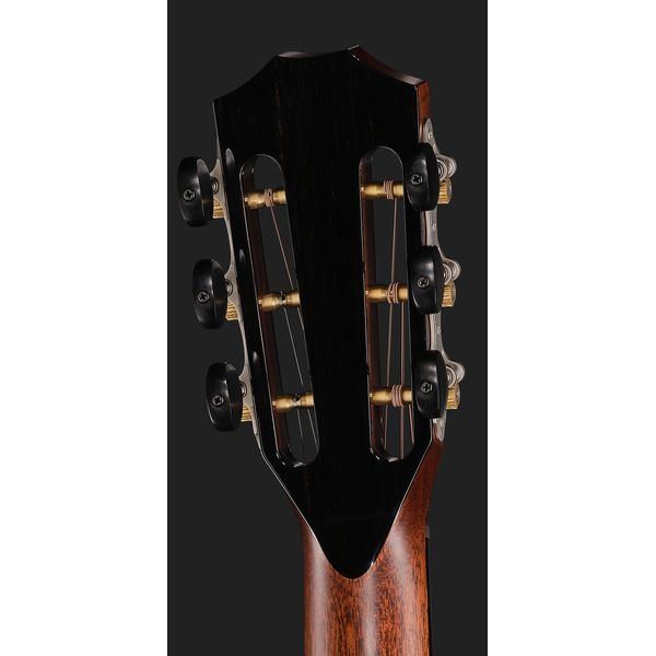 Taylor PS12ce 12 Fret Honduran RW