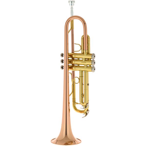 Bach TR-351G Bb- Trumpet Set