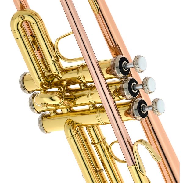 Bach TR-351G Bb- Trumpet Set