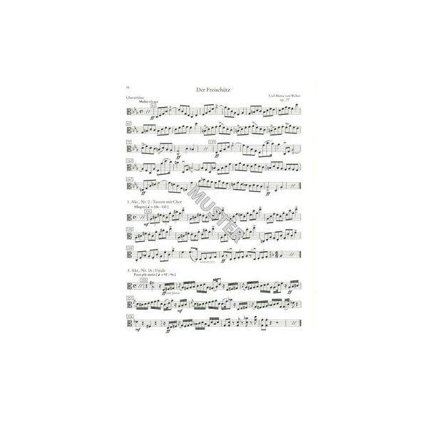 Schott Orchester Probespiel Viola