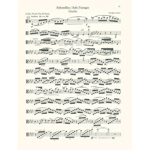 Schott Orchester Probespiel Viola