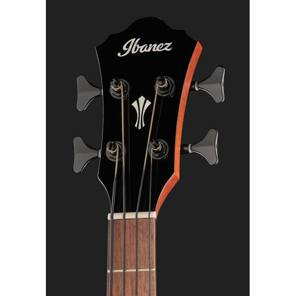 Ibanez AEGB24E-BKH