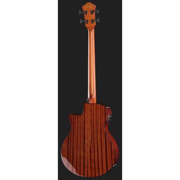 Ibanez AEGB24E-BKH