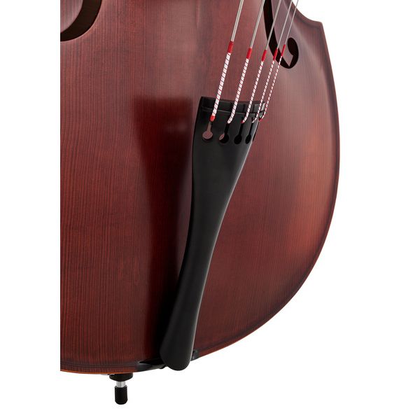 Thomann 22AS/5str. 3/4 Europe Bass