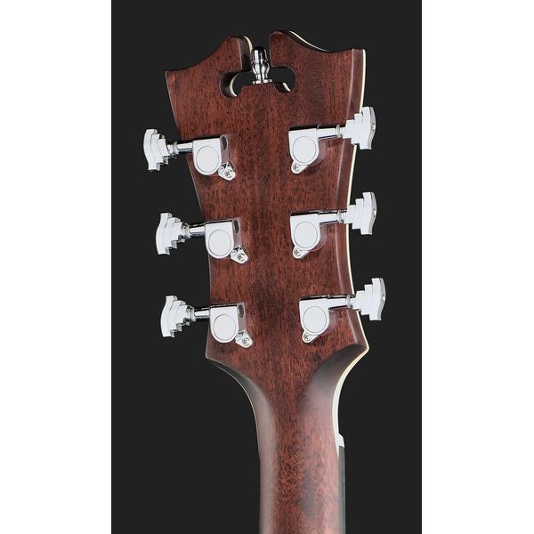 DAngelico Premier Bowery LS Sat.Vint.SB