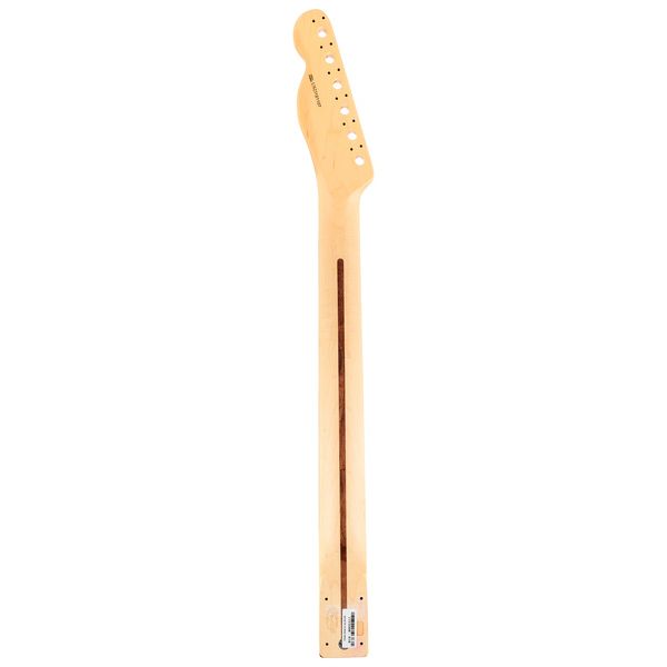 Fender Am Perf. Tele Neck RW