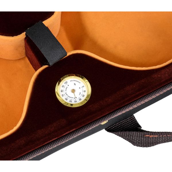 Petz 100VN Violin Case 3/4 BK/BR