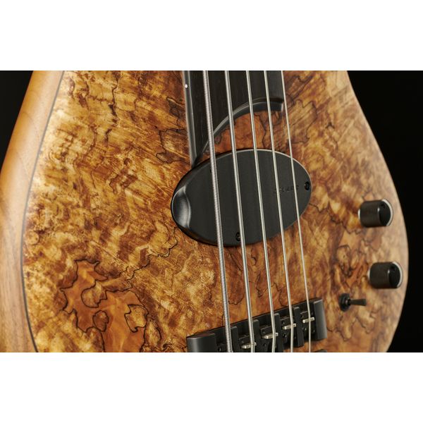 Franz Bassguitars Sirius 5 FL Maple Burl Premium