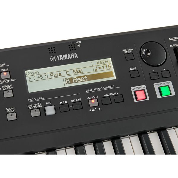 Yamaha HD-300 Harmony Director
