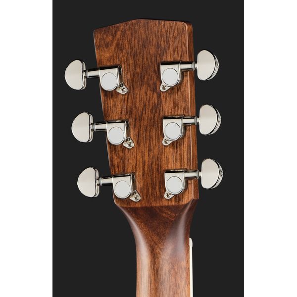 Cort Earth 100 NS w/Bag