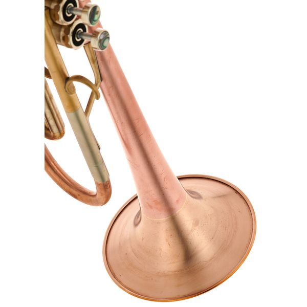 LOTUS Solo MAX Bb-Trumpet