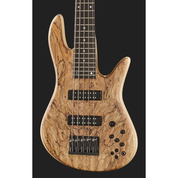 Fodera Viceroy Cs 5 Dlx Spalted Maple