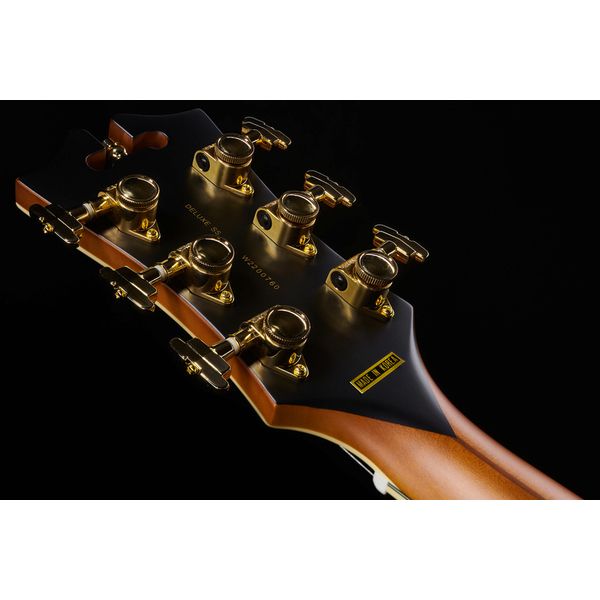 DAngelico Deluxe SS Satin Brown Burst