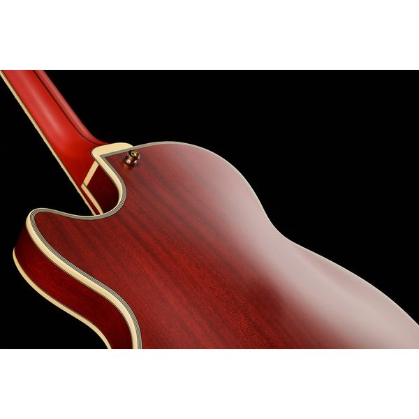 DAngelico Deluxe SS Satin Trans Wine