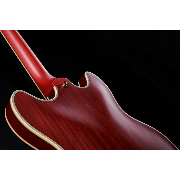 DAngelico Deluxe DC Satin Trans Wine