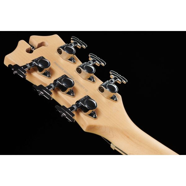DAngelico Premier Bedford BlackFlake