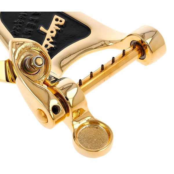 Bigsby B3 Vibrato Hollow-Body Gold