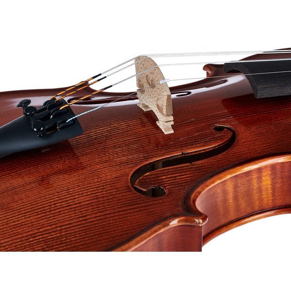 Gewa Georg Walther Violin RB