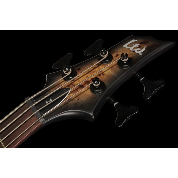 ESP LTD F-4E BP