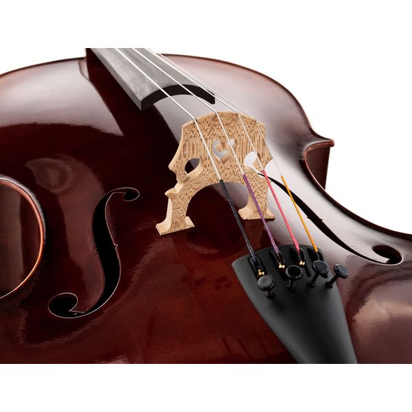 Gewa Maestro 6 Antique Cello 4/4