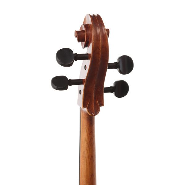 Gewa Maestro 31 Cello 4/4