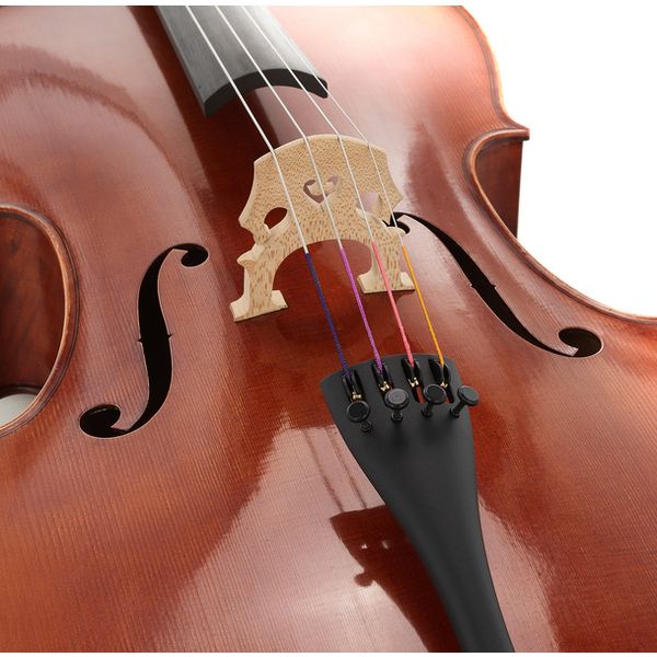 Gewa Maestro 31 Cello 4/4