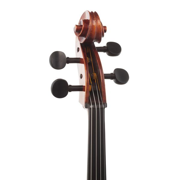 Gewa Maestro 31 Antique Cello 4/4