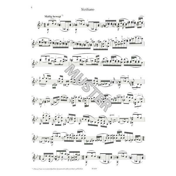 Schott Easy Concert Pieces Violin 1 – Thomann Portuguesa