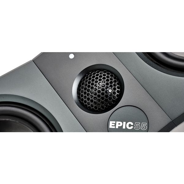 reProducer Audio Labs Epic 55