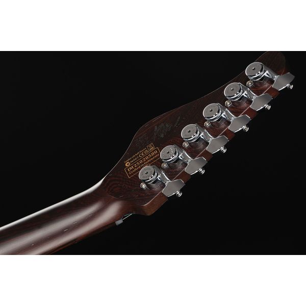Schecter Aaron Marshall AM-6 AJ LH