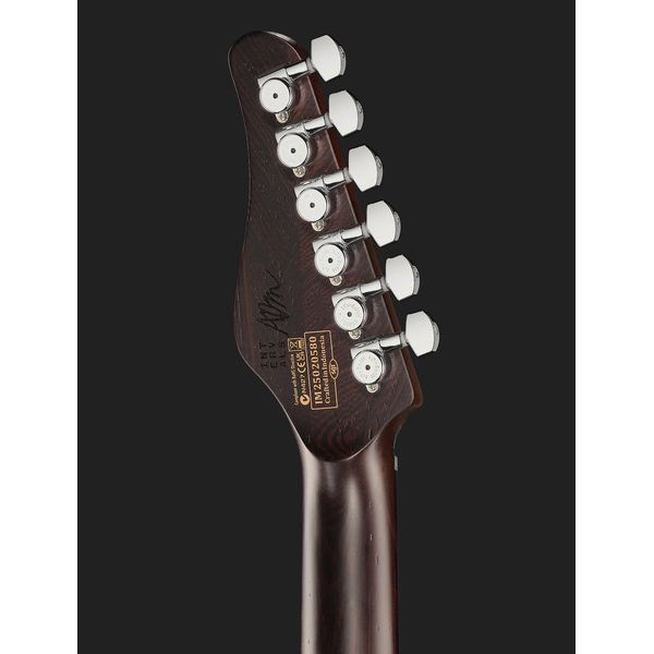 Schecter Aaron Marshall AM-6 AJ LH
