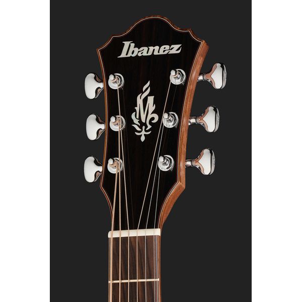 Ibanez MRC10-NT