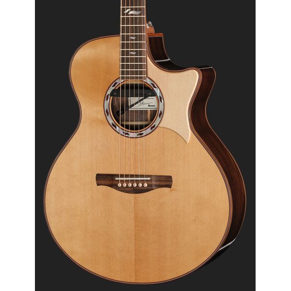 Ibanez MRC10-NT