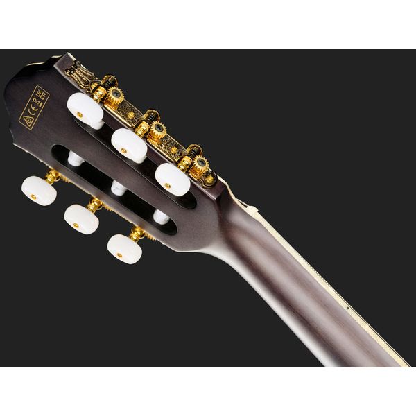Ibanez Signature Tim Henson TOD10N