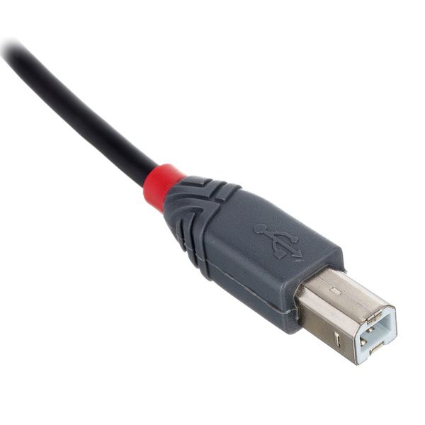 Lindy 0,5 m USB 2.0 Typ C/B Anthra