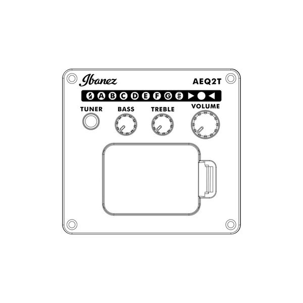 Ibanez AEGB30E-NTG