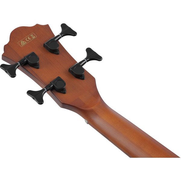 Ibanez AEGB30E-NTG