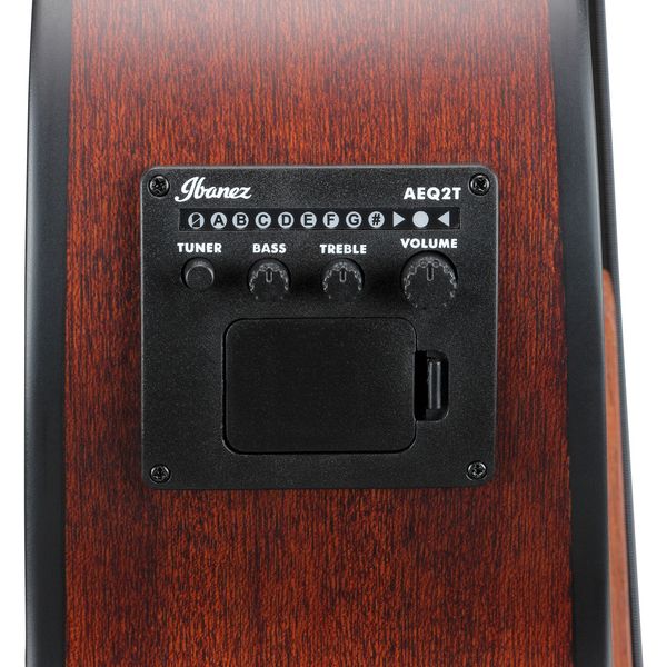 Ibanez AEGB30E-NTG