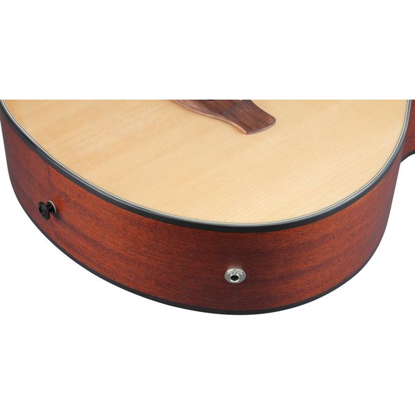 Ibanez AEGB30E-NTG