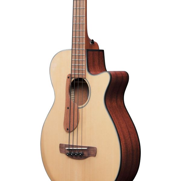 Ibanez AEGB30E-NTG