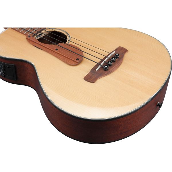 Ibanez AEGB30E-NTG