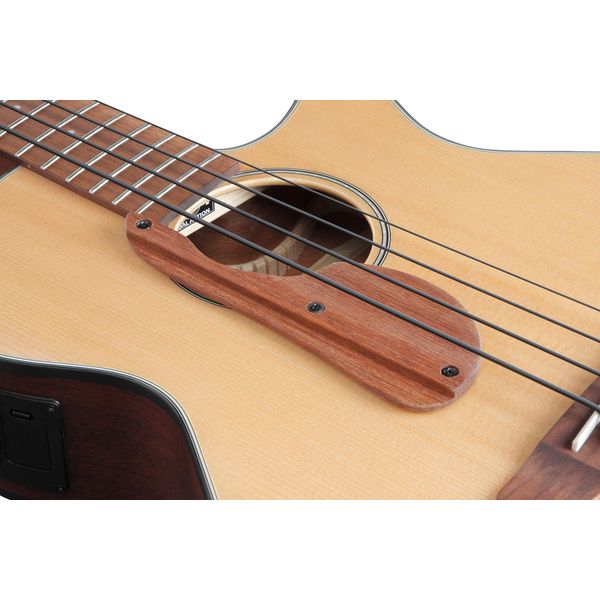 Ibanez AEGB30E-NTG