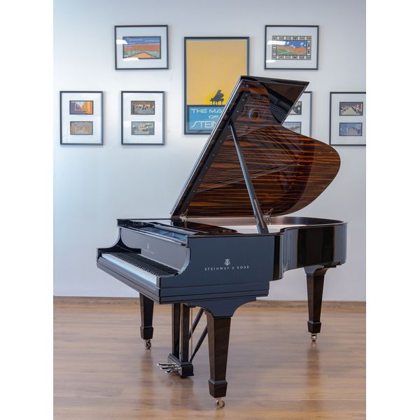 Steinway & Sons L Onyx Duet Grand Piano