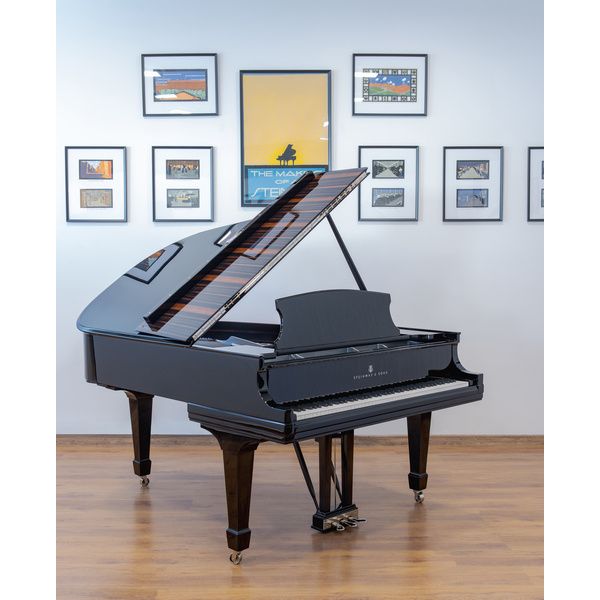 Steinway & Sons L Onyx Duet Grand Piano