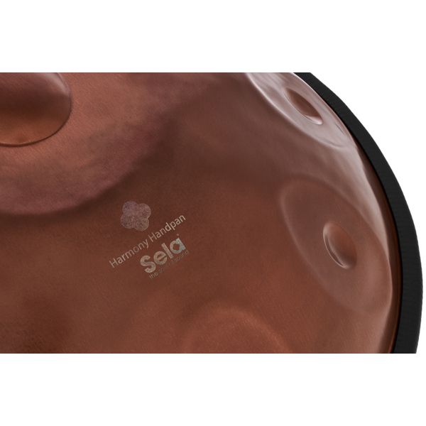 Sela Phoenix Handpan D Kurd SE 320